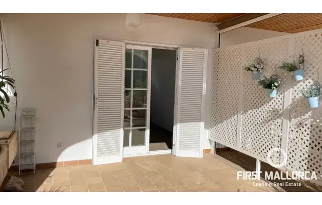 Alquiler Apartamento 1 Dormitorio 43m2 Calvia