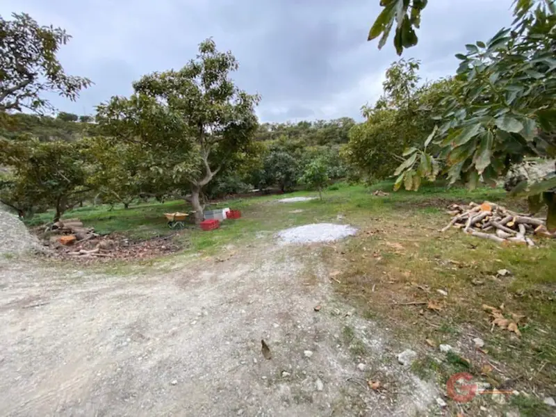 Finca Rustica en Venta Motril 70000m2 2 Dormitorios Alberca