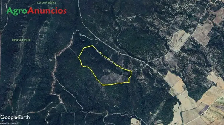Finca Rustica con Vivienda para Restaurar en Tarragona