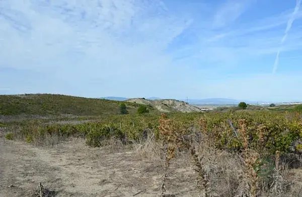 Parcela en Cadreita Navarra 20527m2