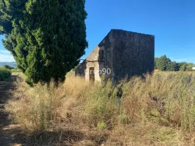 Finca Rustica Cerca Del Pueblo Con Caseta