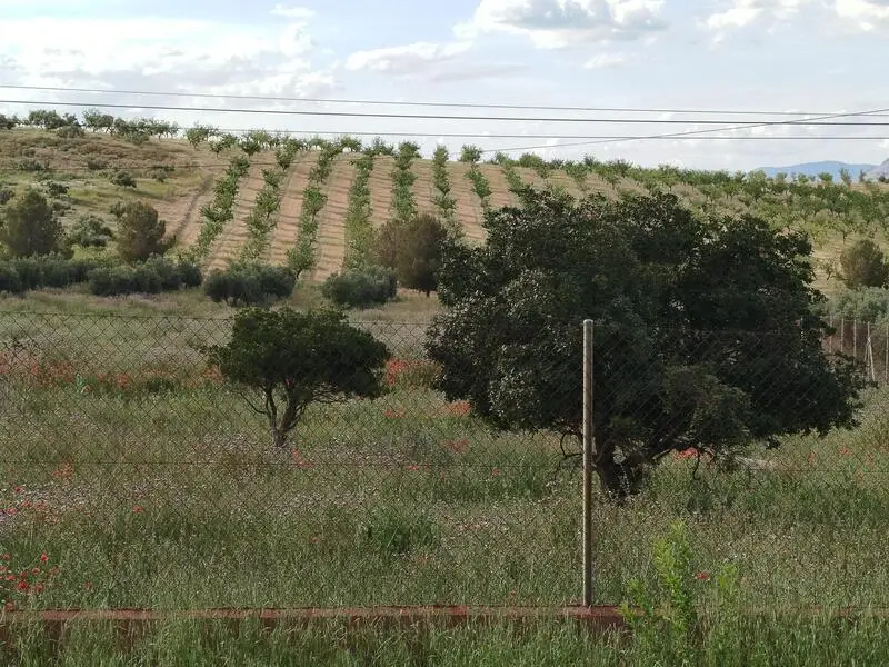 Terreno Rustico en Venta Las Gabias Granada