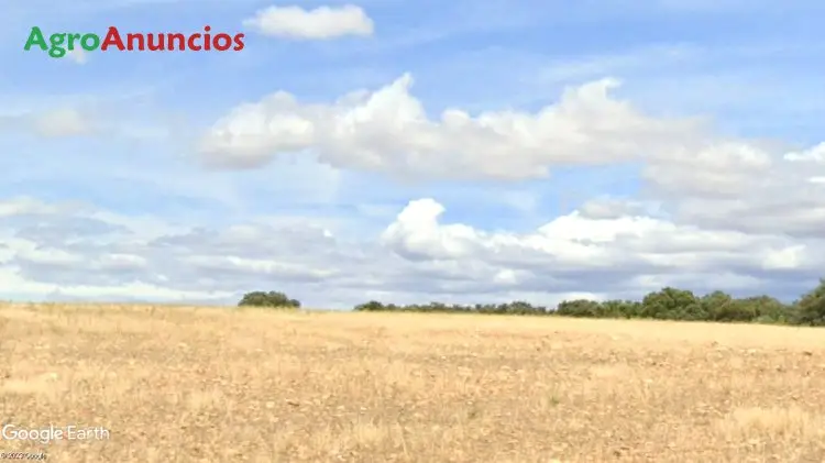 Venta  de Finca rustica agraria o de recreo en Guadalajara