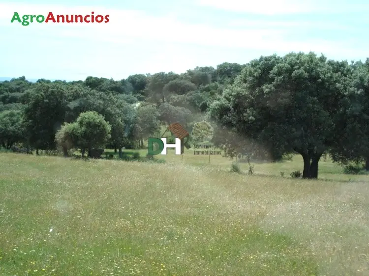 Venta  de Finca ganadera con casa en Cáceres