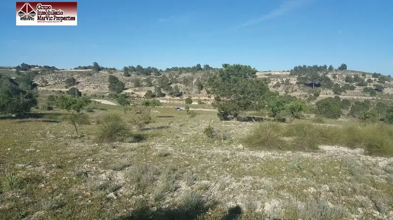 Venta Parcela Rustica Albacete Mahora 13 Hectareas