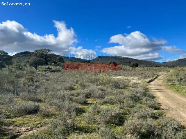 Finca Rustica 71 Hectareas Carrascalejo