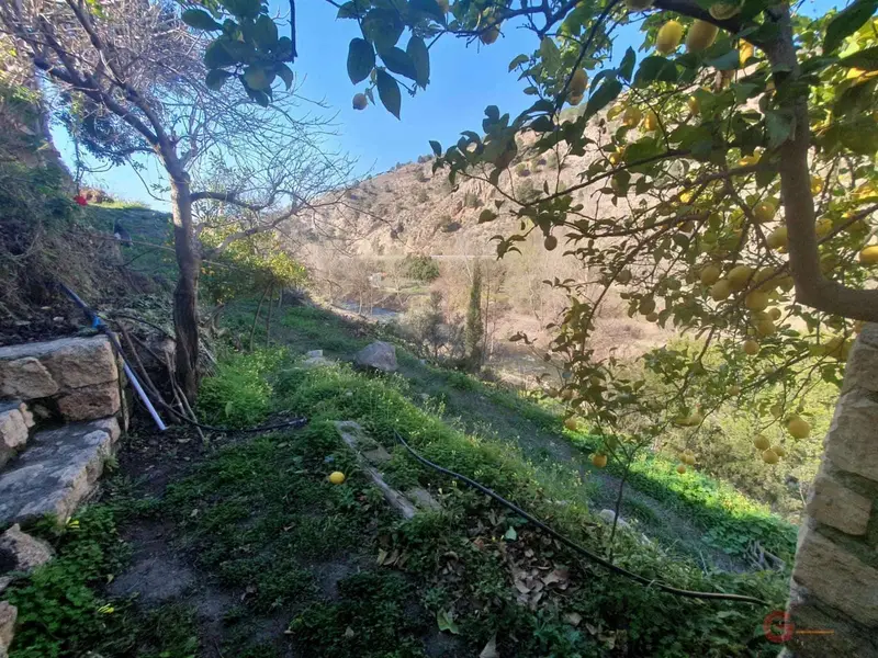 Finca Rustica Velez Benaudalla 6 Dormitorios Piscina Gran Parcela