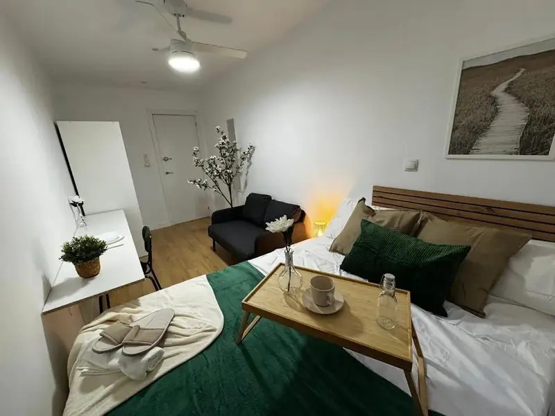 Apartamento 1 Dormitorio Madrid