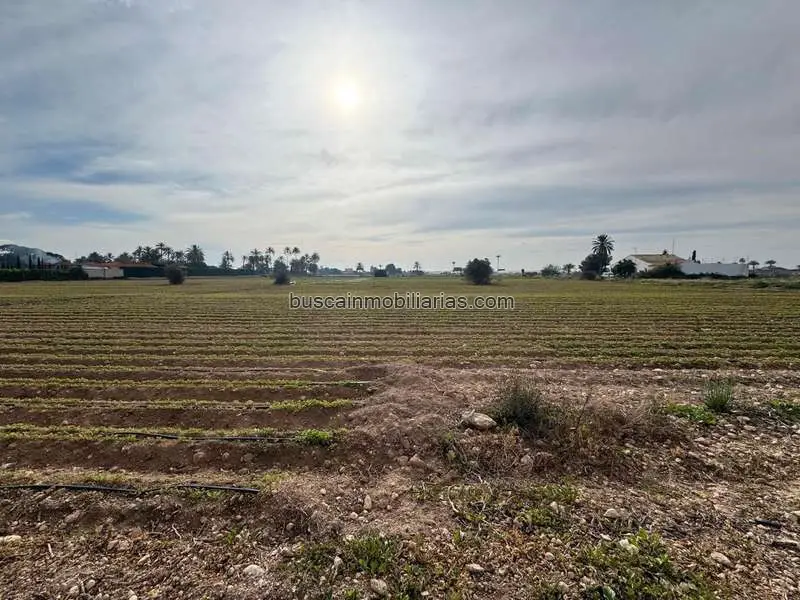 Parcela Rustica en Venta Valverde Elche Cerca de Santa Pola