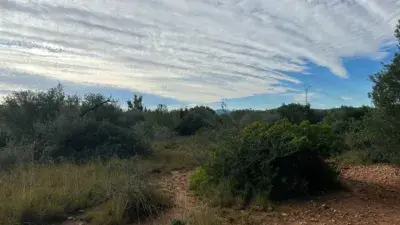 Finca rústica en alquiler en Alcalà de Xivert