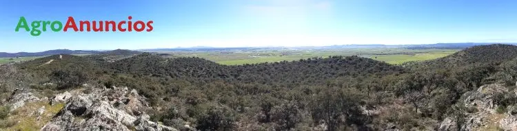 Venta  de Finca de recreo en Cáceres