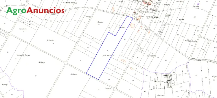 Venta  de Terreno de secano en Ourense