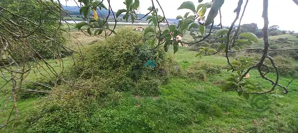 Terreno Rustico en Venta Colindres 047ha