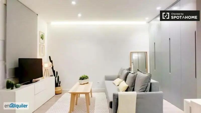 Apartamento 1 Dormitorio Lavapiés Moderno y Elegante
