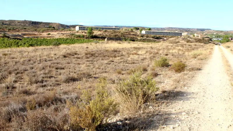 Terreno Rustico en Maella Zaragoza Ideal Cultivo Almendros Olivos