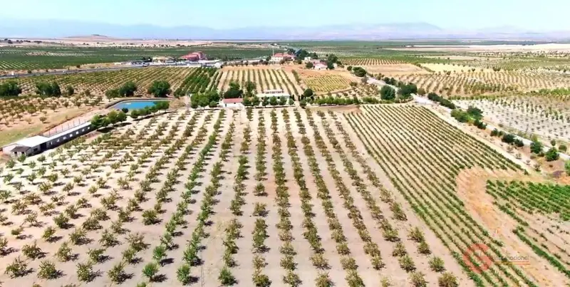 Finca Rustica en Venta Gor Granada 6 Dormitorios 2 Baños