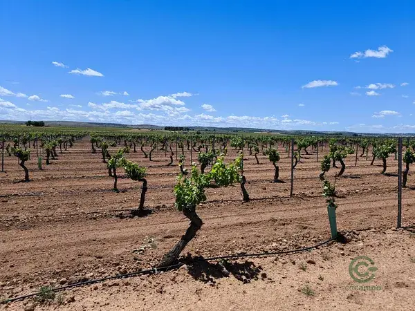 Finca Rustica en Valdepenas 1566 hectareas