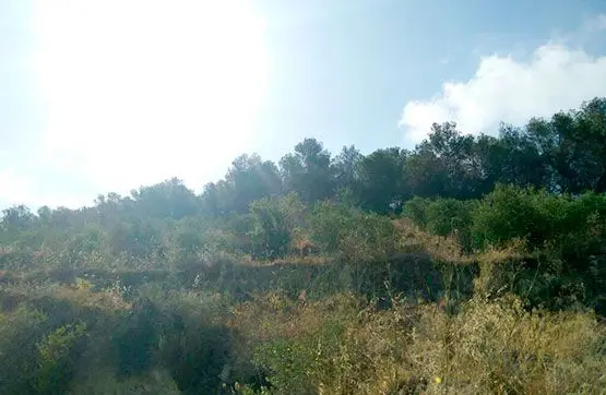 Venta Terreno Benissa Ref 52888799