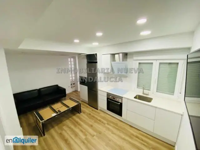 Alquiler Piso Centro con Ascensor Amueblado 50m²