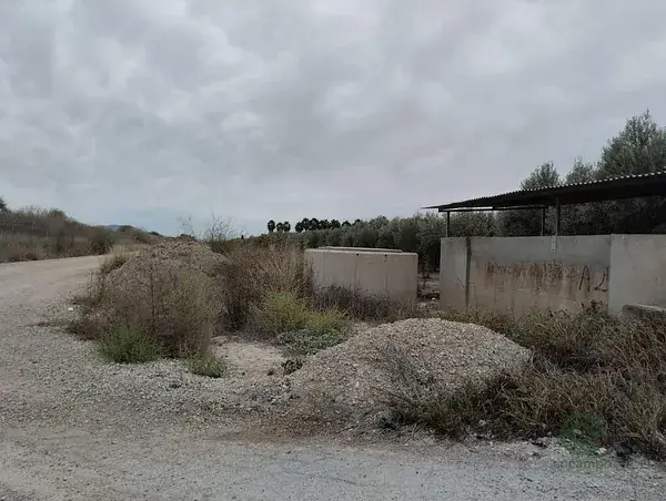 Terreno Rustico Lorca 8401m2 250 Olivos
