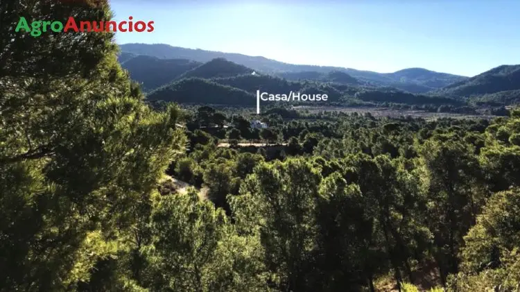 Venta  de Finca de recreo en Alicante