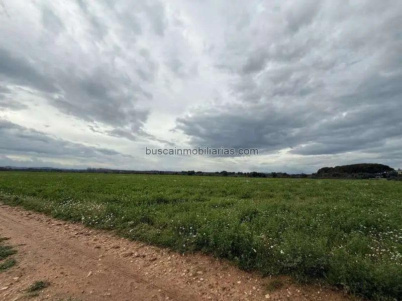 Parcela Rustica en Venta Siurana 25000m2