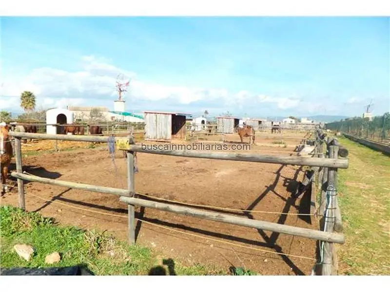 Parcela rústica en venta en Palma de Mallorca
