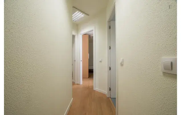 Alquiler Apartamento 5 Dormitorios Madrid Estudiantes Vallehermoso
