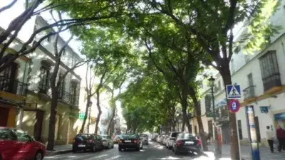 Casa en Centro ciudad 458m2 4 dormitorios 2 baños para reformar