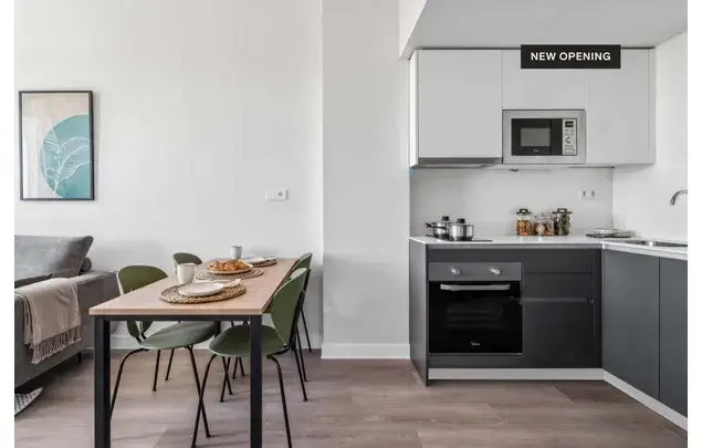 Apartamento 2 Dormitorios 31m2 Madrid