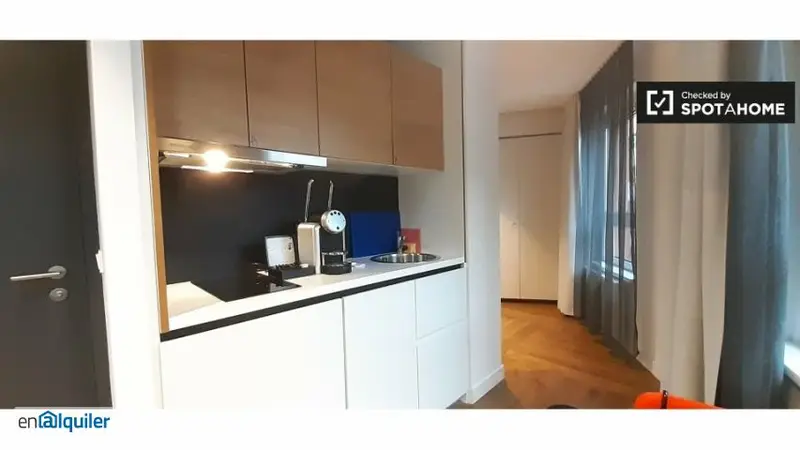 Furnished studio for rent with elevator