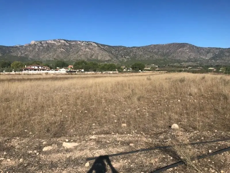 Solar 14000m2 Salinas Alicante 2% edificabilidad