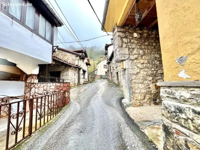 Oportunidad De Inversión- Casa De Piedra Con Cuadra En Felechosa