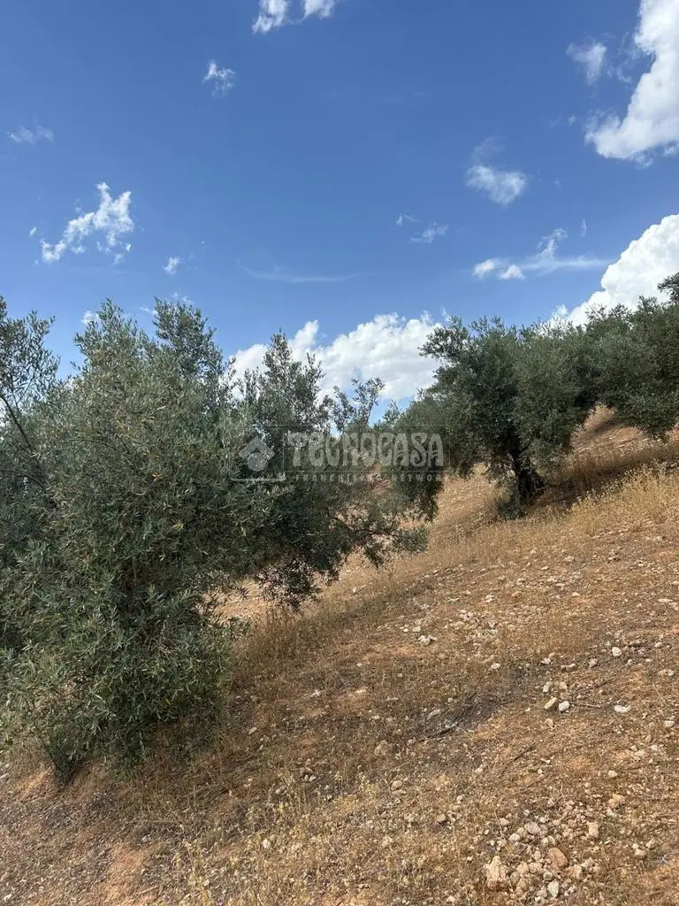 Terreno Rustico en Venta Calicasas 4700m2 Ideal Inversion Agricola