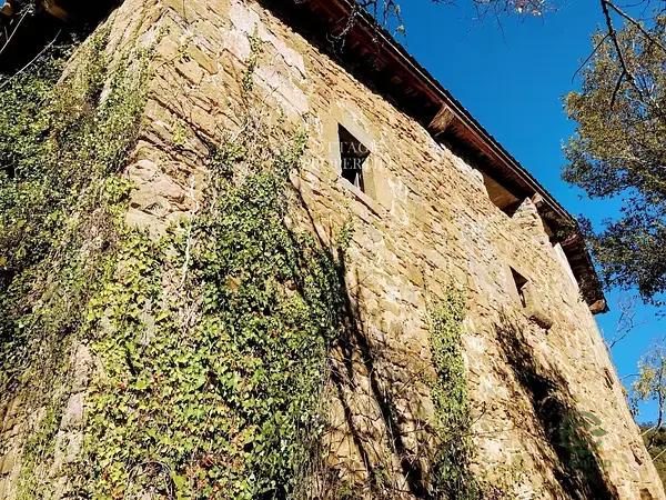 Masia historica en Besalu Girona 28ha