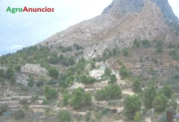 Venta  de Finca con aljibe y casa en Alicante