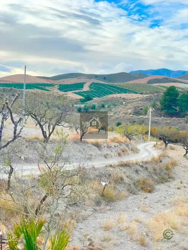 Cortijo con 13 Hectareas Almendros Olivos Velez Rubio