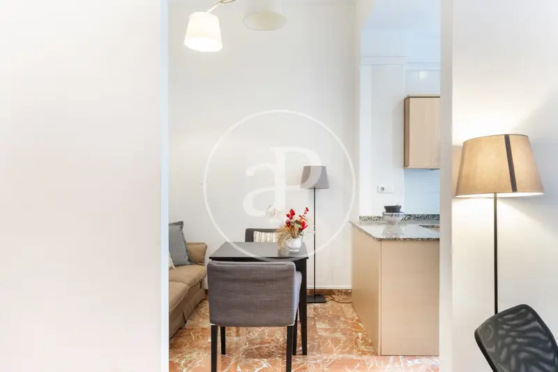 Apartamento en Alquiler El Carmen Valencia