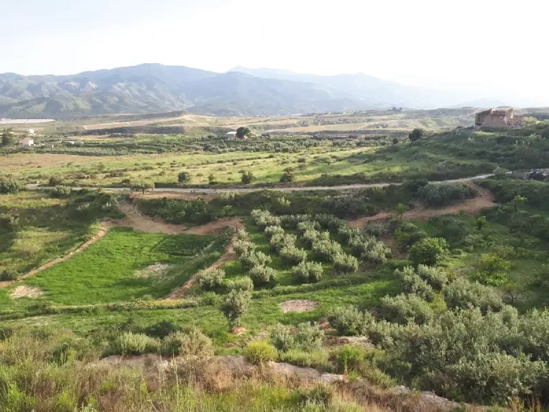 Venta Cortijo Urracal 8177m2 Terreno 166m2 Construidos