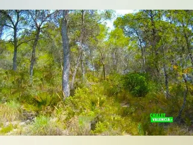 Chalet con Gran Terreno y Piscina cerca del Metro L Eliana