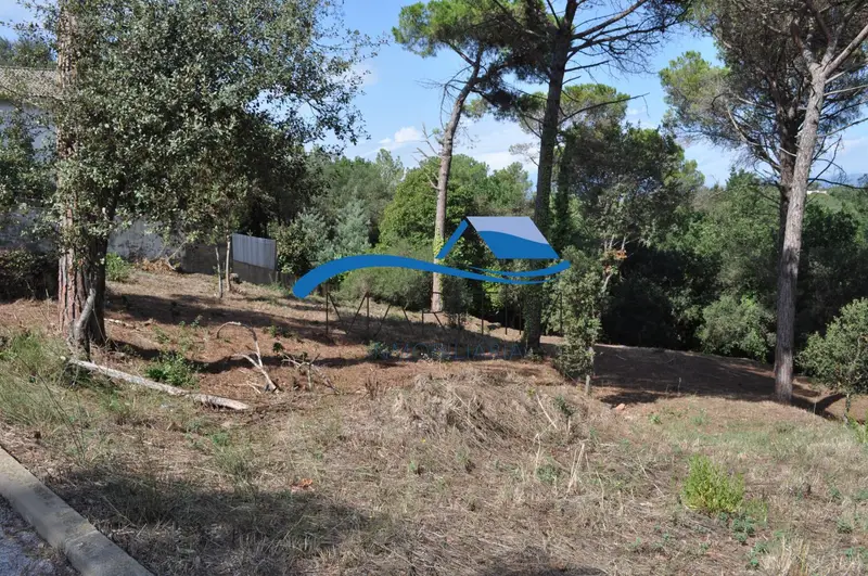 Venta Solar 584m2 Mas Mora Tordera Casa Piscina Jardin