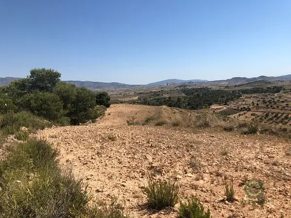 Parcela Rustica con Vistas Panoramicas en La Zarza Badajoz
