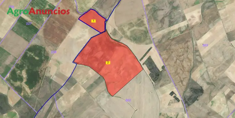 Venta de Finca Rústica 80 Hectáreas en Castilla y León