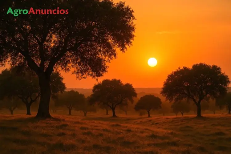 Finca de Lujo en Sierra Norte de Sevilla