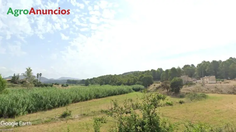 Venta  de Terreno de regadío en Murcia