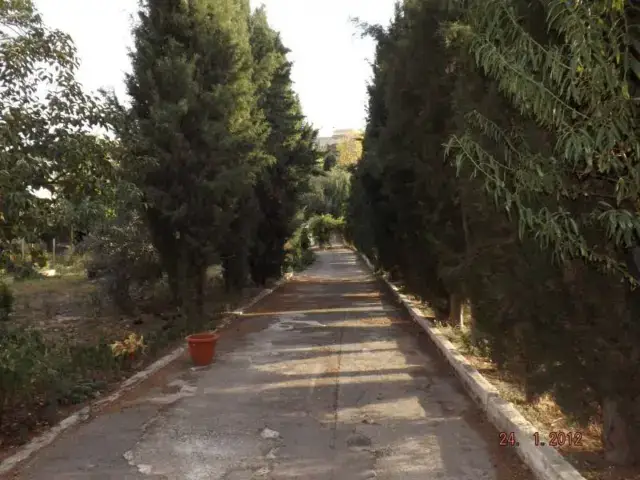 Chalet en Venta Los Villares 3000m2