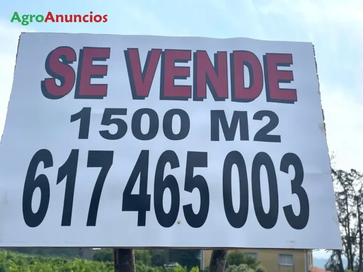 Venta  de Finca de viñedo  ribeira sacra en Lugo