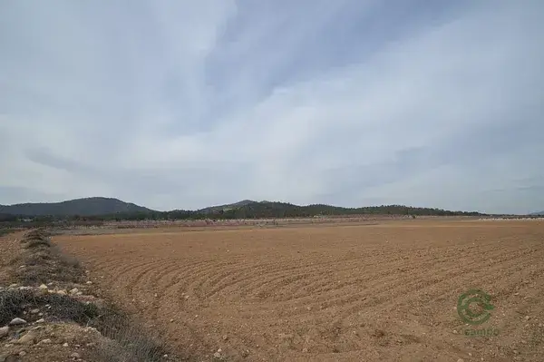 Parcela Rustica 33880m2 Alicante Monovar