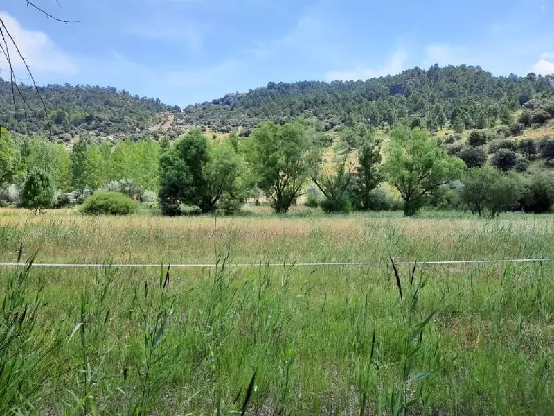 Venta Parcela Riopar - Naturaleza y tranquilidad