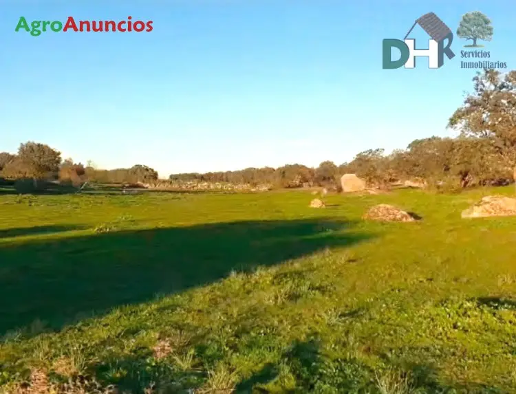 Venta  de Finca con dehesa en Cáceres